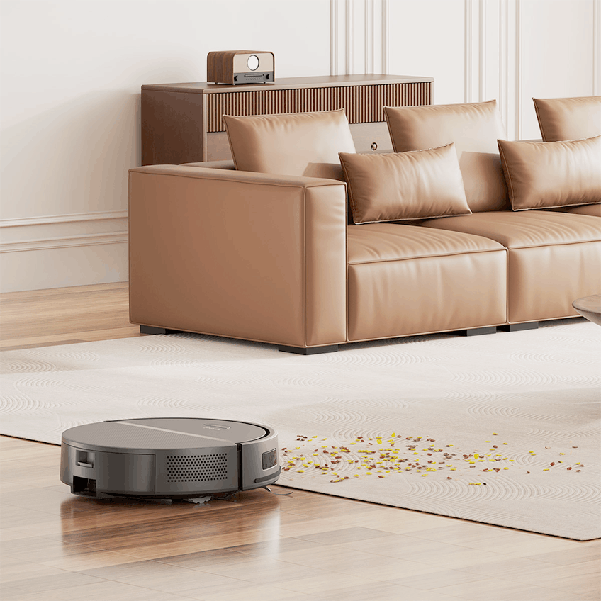 Robot cleaner