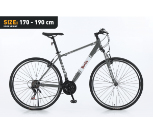 Xplorer City bike BERLIN Gray 28"