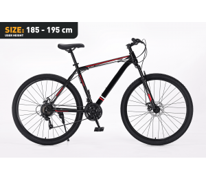 Xplorer MTB bicycle MATTERHORN Black 29"