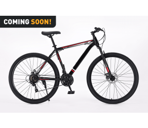Xplorer MTB bicycle MATTERHORN Black 29"