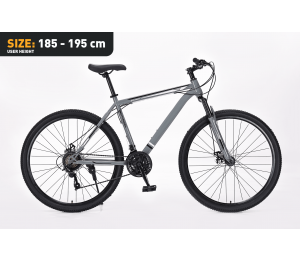 Xplorer MTB bicycle MATTERHORN Gray 29"