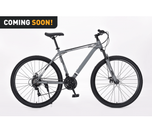 Xplorer MTB bicycle MATTERHORN Gray 29"