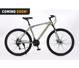 Xplorer MTB bicycle MATTERHORN Olive Green 29"